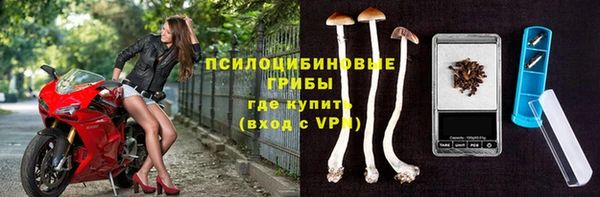 трава Армянск