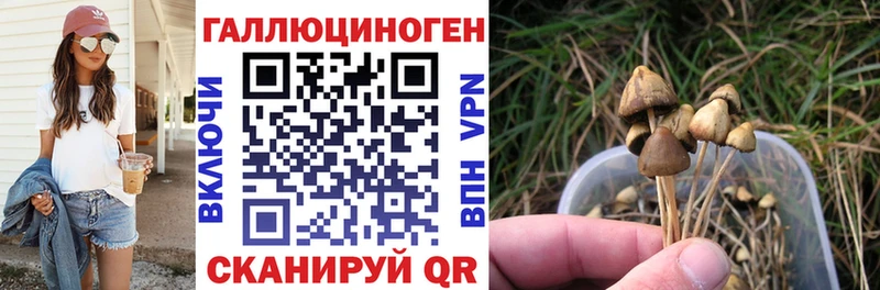 Купить где Гороховец Галлюциногенные грибы Cubensis